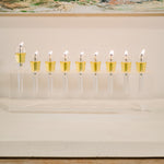 Load image into Gallery viewer, acrylic menorah
